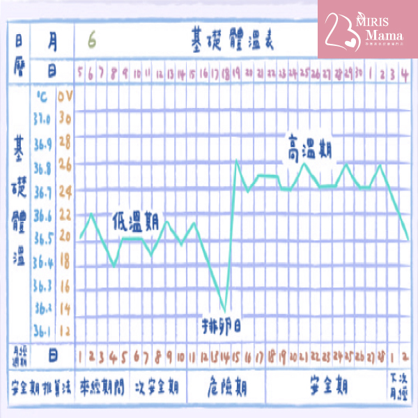 【推算排卵期4大方法】體溫紀錄法|Miris Mama孕婦產後修身按摩專門店