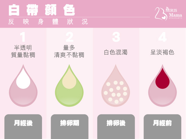 【女士健康】陰道分泌物的狀況反映身體狀況|Miris Mama孕婦產後修身按摩專門店